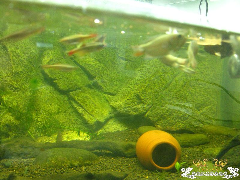 [原创]新人请安，大家多多关照！