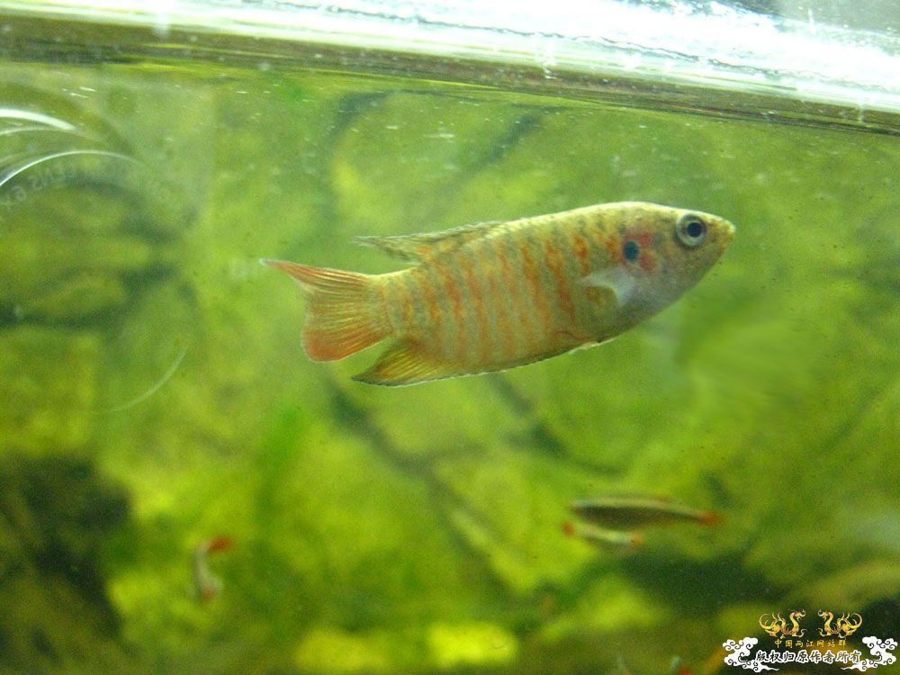 [原创]新人请安，大家多多关照！