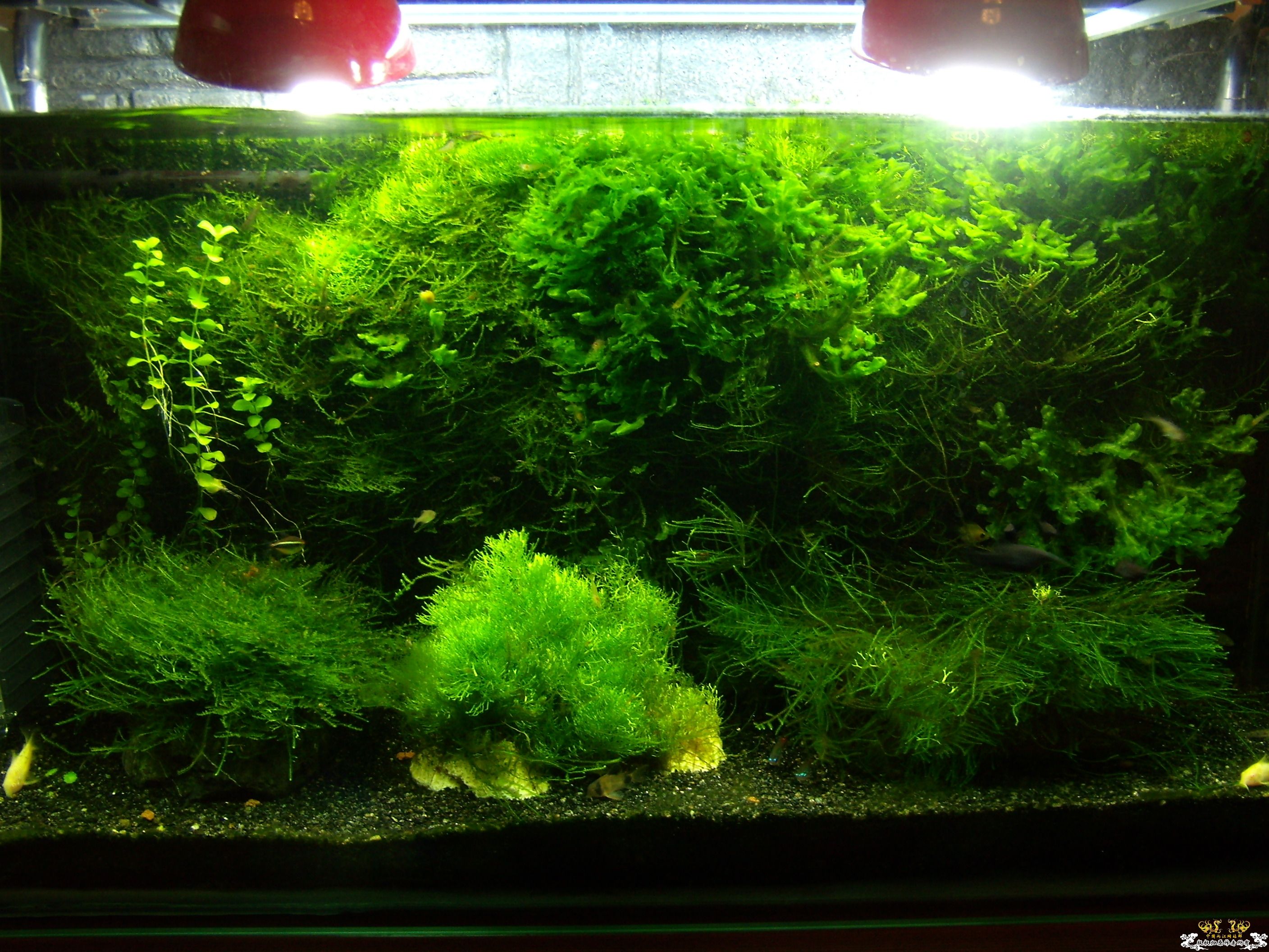 菜鸟提问！！！？？？