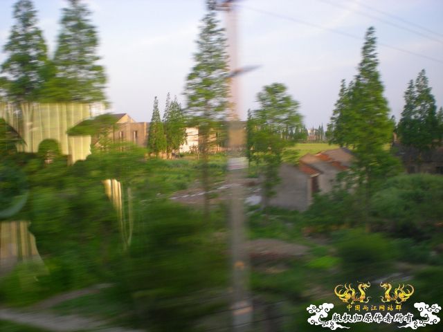 丽水之行（野采篇）