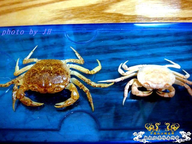 [原创]完美蜕壳 第二季