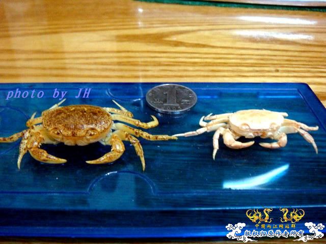 [原创]完美蜕壳 第二季