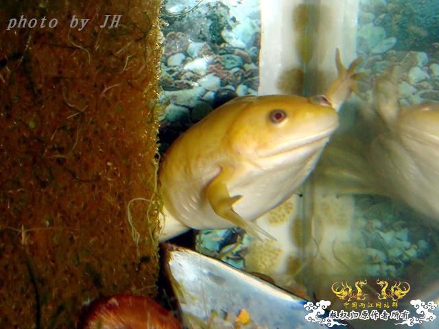 [原创]完美蜕壳 第二季