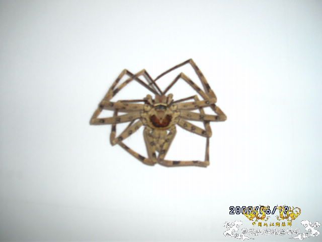 [原创]吓死我了......