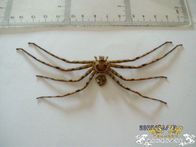 [原创]吓我一跳......