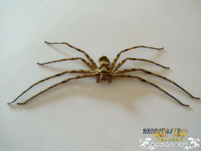 [原创]吓我一跳......