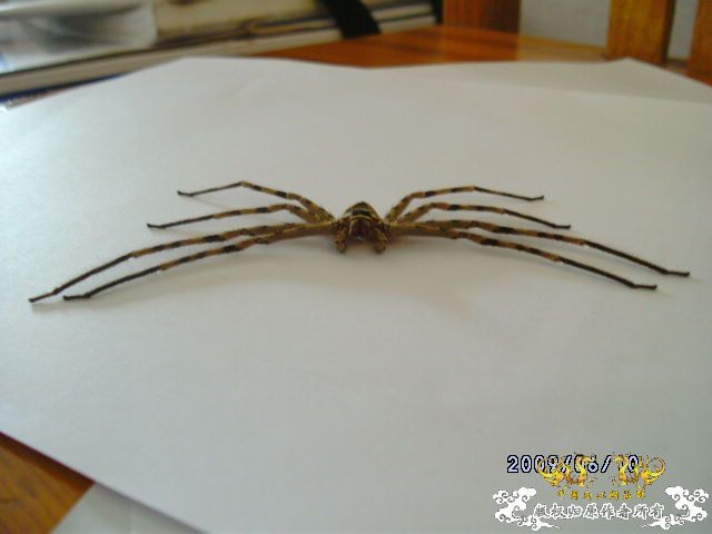 [原创]吓我一跳......