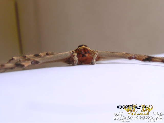 [原创]吓我一跳......