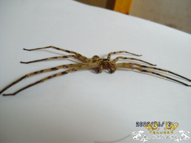 [原创]吓我一跳......