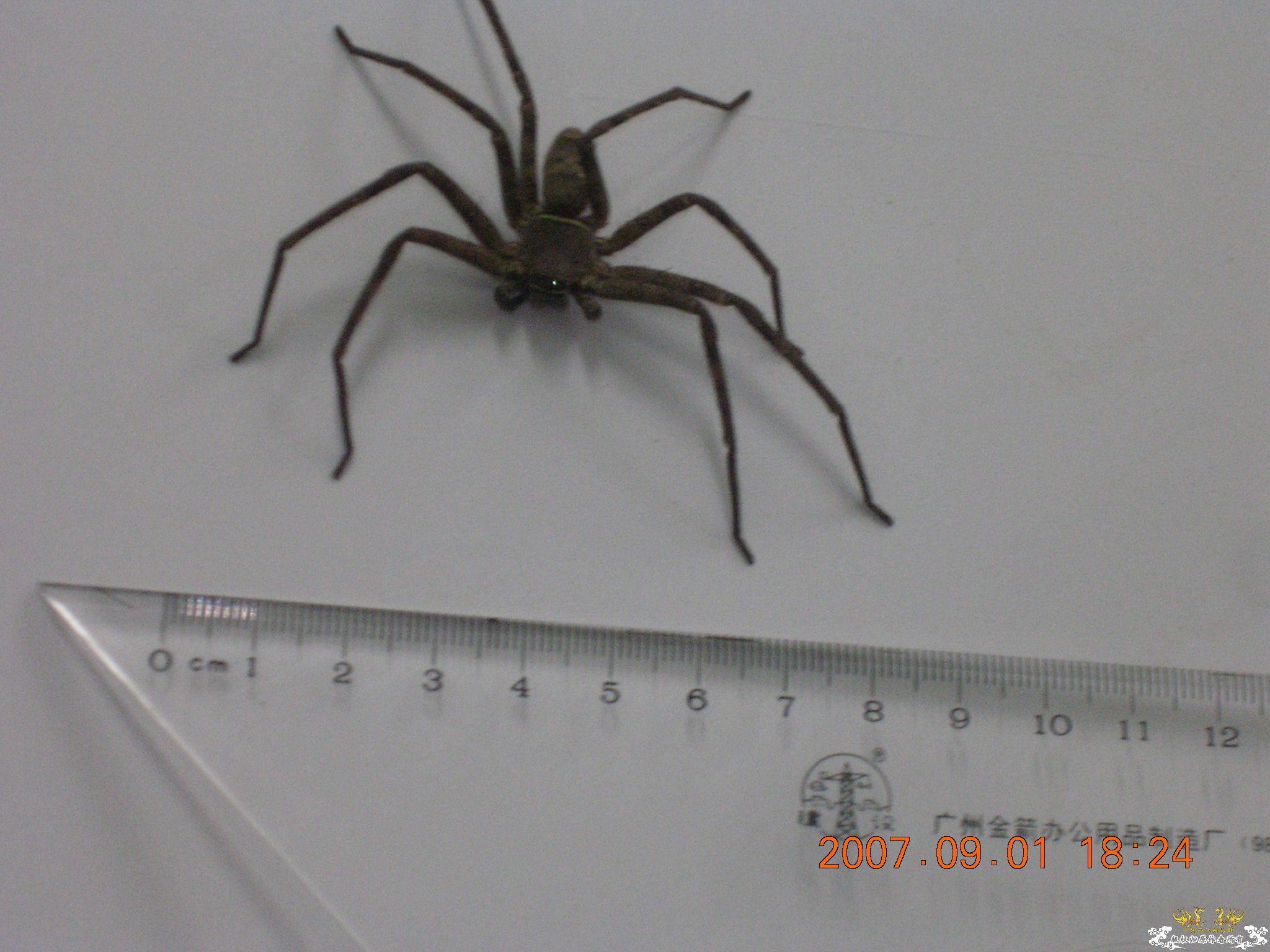 [原创]吓我一跳......