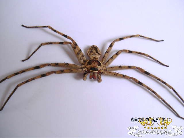 [原创]吓我一跳......