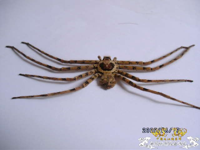 [原创]吓我一跳......