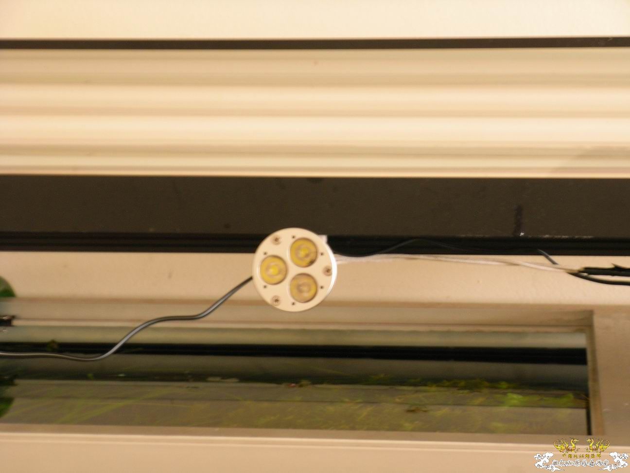 大家最喜欢什么颜色的灯