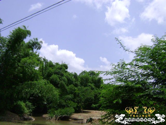 再次新坡游