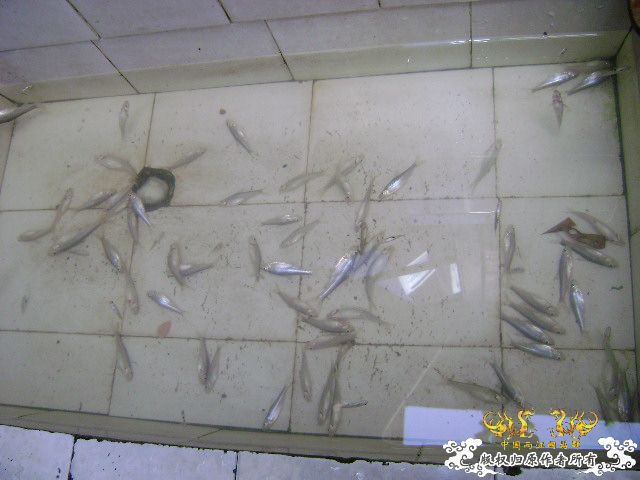 教训