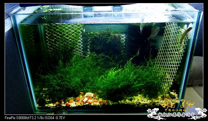 继续杂七杂八，准备干坏事