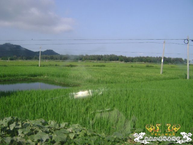 列屿游