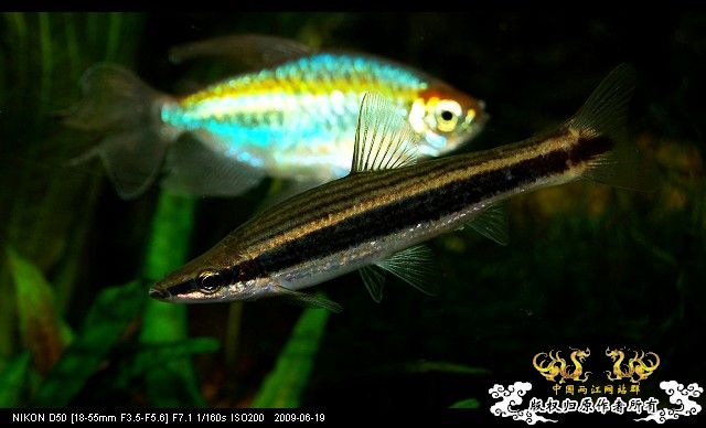 继续杂七杂八，准备干坏事