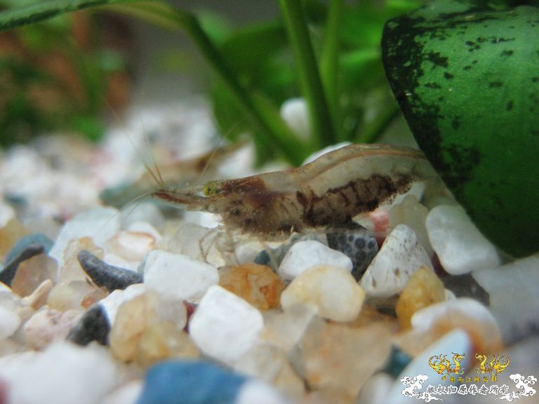 [灌水]眼睛都绿了~~~~~~~~~~~~~~~~~~~~~~~