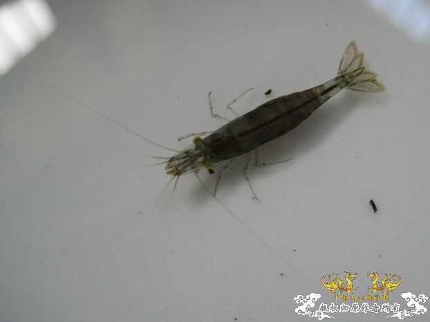 [灌水]红与蓝~~~~~~~~~~~~~~~~~~~~~~~