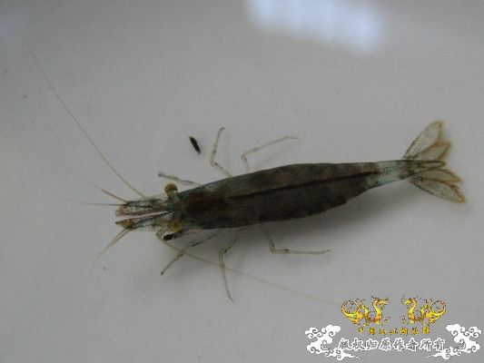 [灌水]红与蓝~~~~~~~~~~~~~~~~~~~~~~~