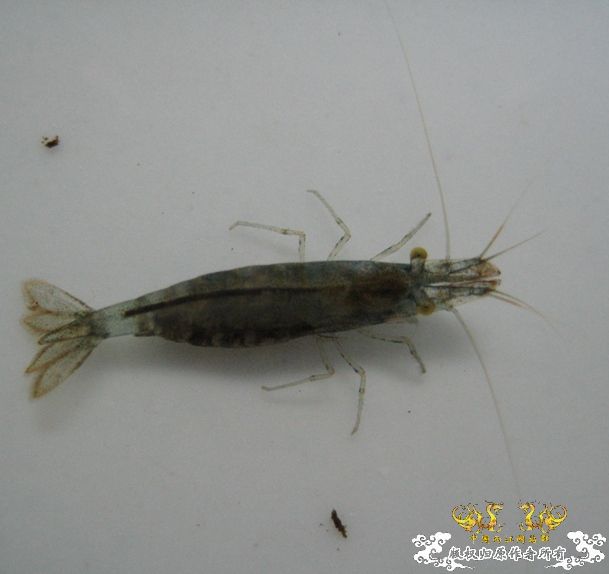 [灌水]红与蓝~~~~~~~~~~~~~~~~~~~~~~~