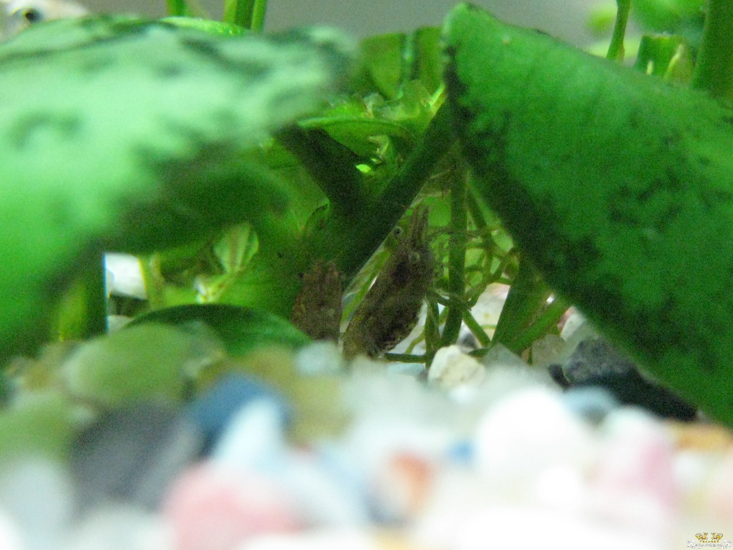 [灌水]捉迷藏~~~~~~~~~~~~~~~~~~~~~~~~~