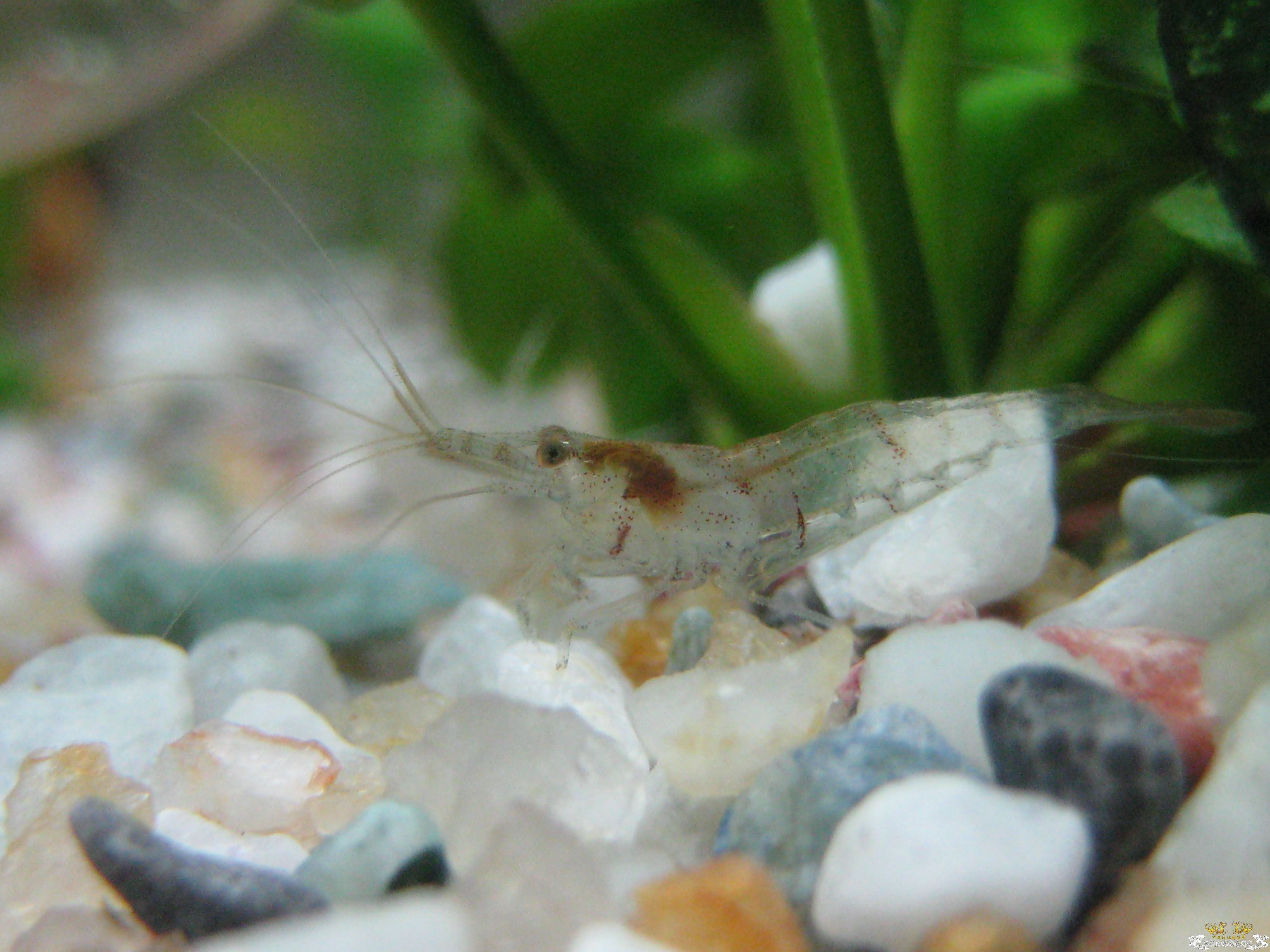 [灌水]透，真的很透~~~~~~~~~~~~~~~~~~~~~~~~~~~~