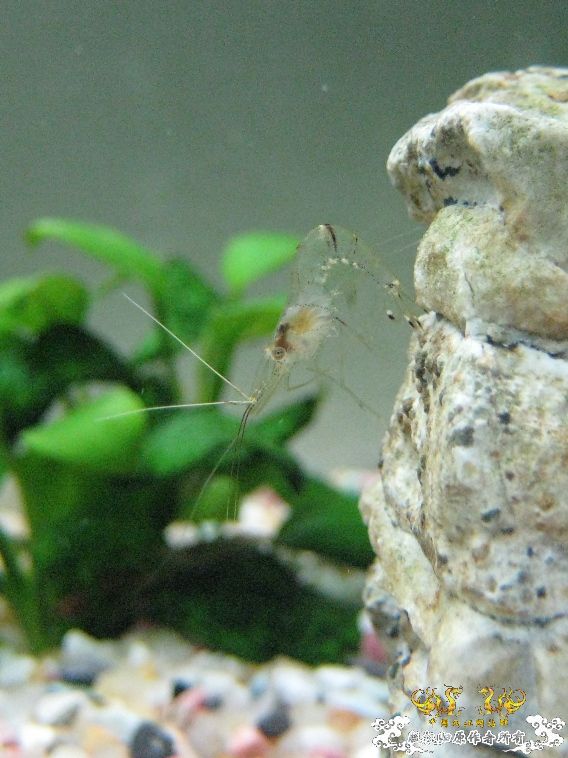 [灌水]悬崖体操~~~~~~~~~~~~~~~~~~~~~~