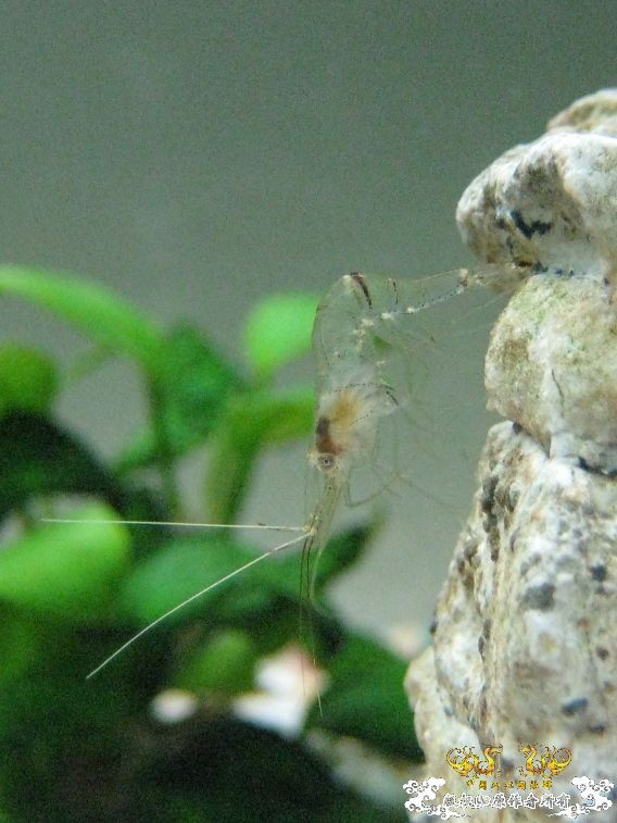 [灌水]悬崖体操~~~~~~~~~~~~~~~~~~~~~~