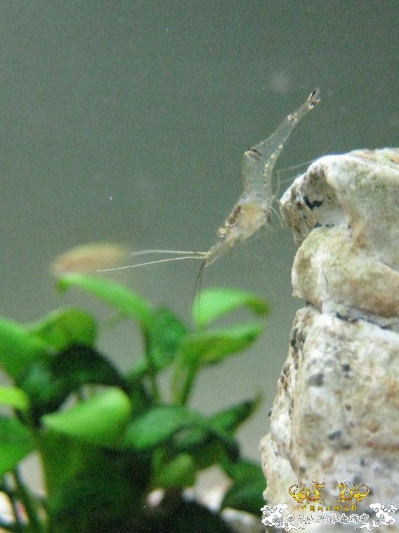 [灌水]悬崖体操~~~~~~~~~~~~~~~~~~~~~~