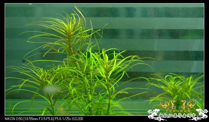 继续杂七杂八，准备干坏事
