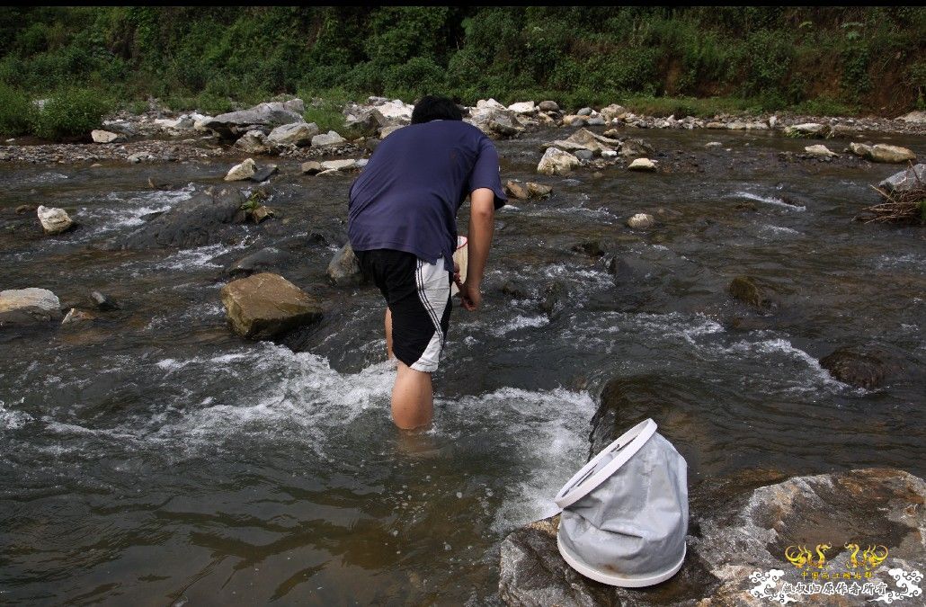 记2009年6月13日广西某山区鱼类考察