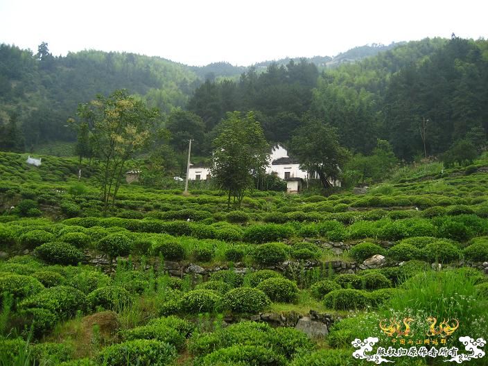源淓峡谷探寻----------媚水