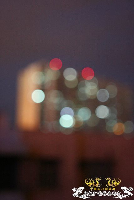 极品红虾（多图）！