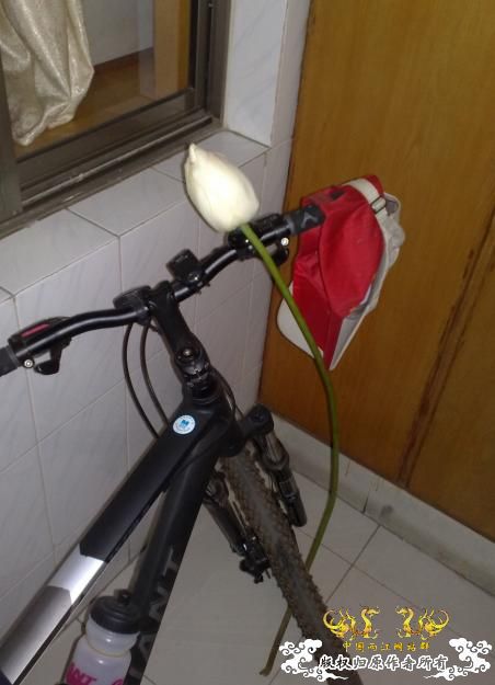 第一张送给女同胞