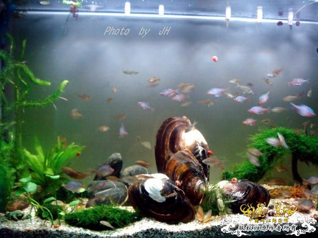 [原创]初见倪端