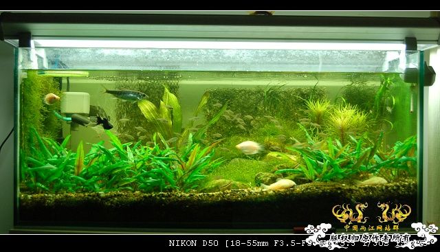 响应鸟总号召----------我的色缸