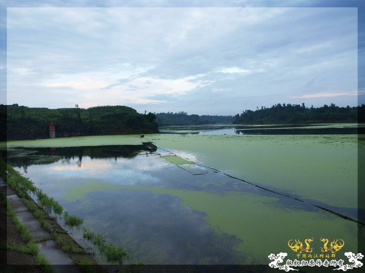 盛夏。五排水库。国斗
