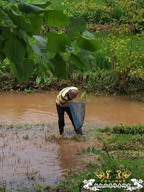 盛夏。五排水库。国斗