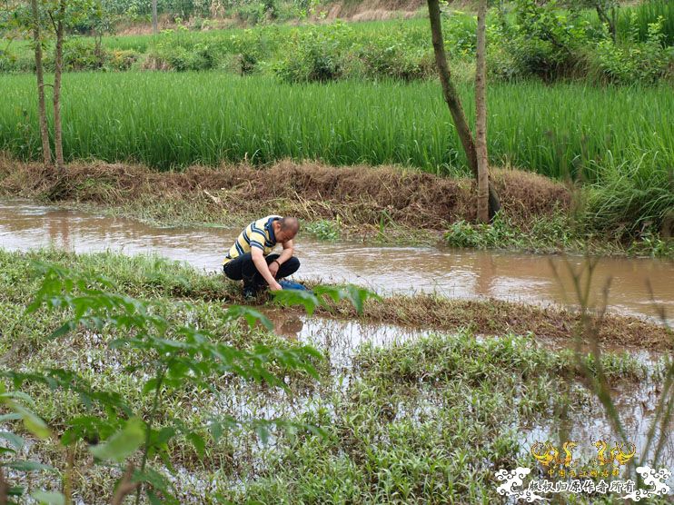 盛夏。五排水库。国斗