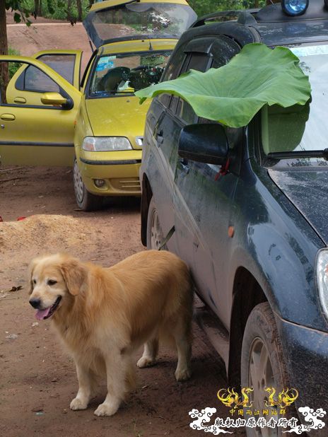 盛夏。五排水库。国斗