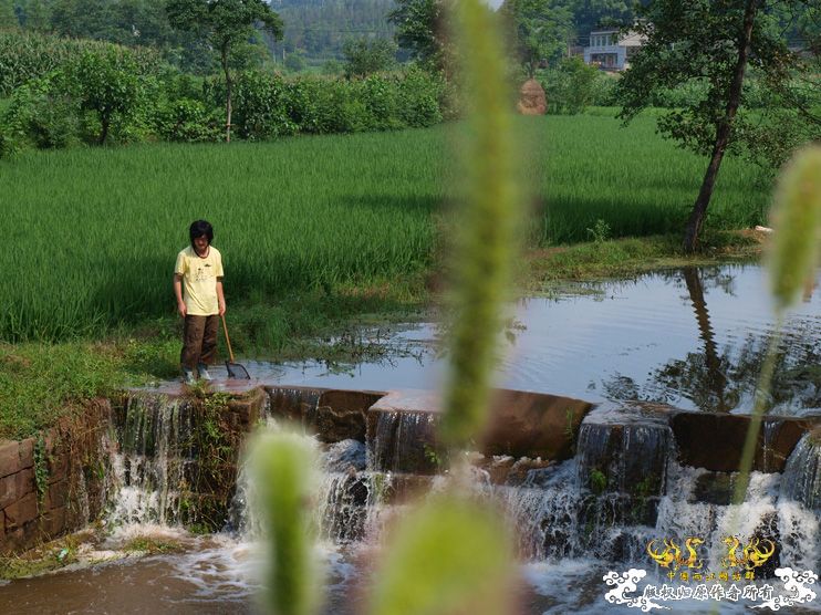 盛夏。五排水库。国斗