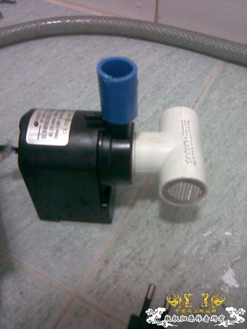 [原创]池塘一角