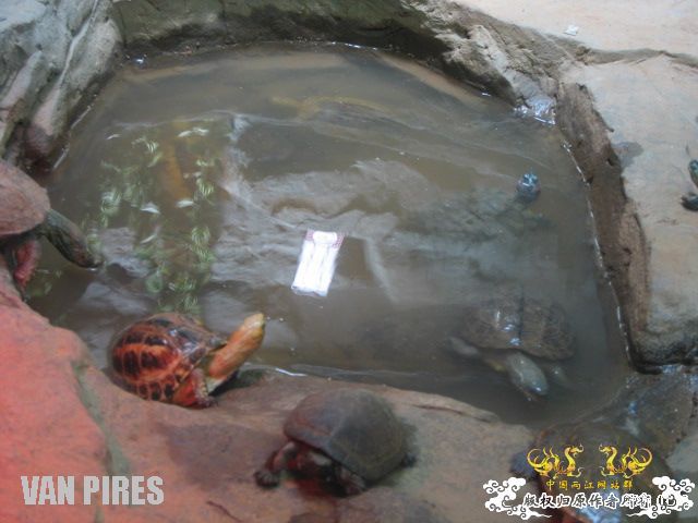 上海动物园3－依旧混乱的爬虫馆