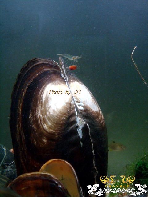 [原创]各怀鬼胎