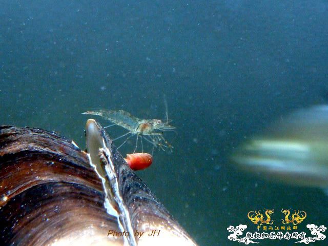 [原创]各怀鬼胎