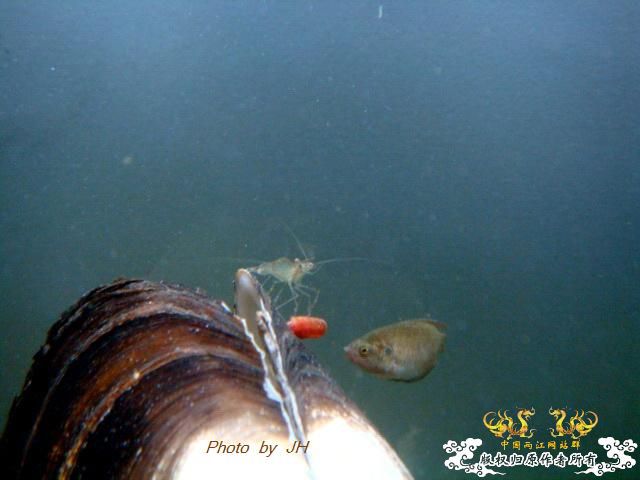 [原创]各怀鬼胎