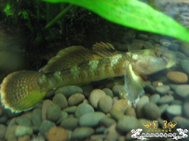 征集帖  征集大家手上的宝贝照片了