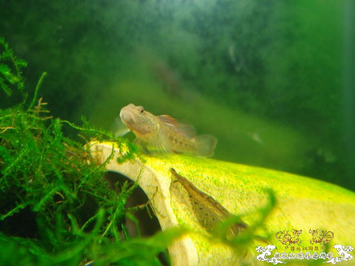 征集帖  征集大家手上的宝贝照片了